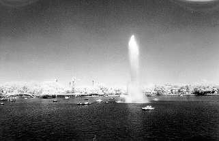 infrared_5.jpg
