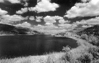 infrared_3.jpg