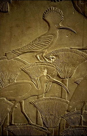 Papirus tarlasında yer alan kuşlar - 5.Hanedan dan kalma