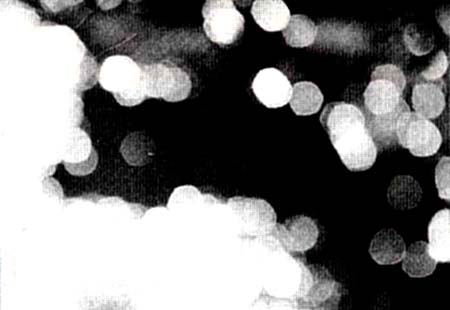 focus01.jpg