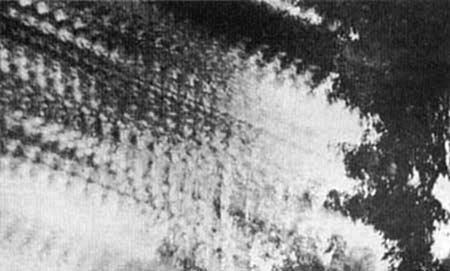 06filef-02w.jpg