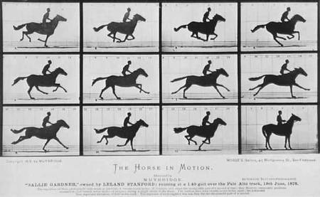 muybridge_galloping_horse.jpg